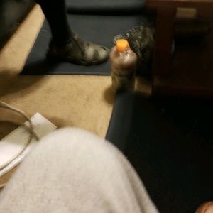 Meet your Posher, Kenneth